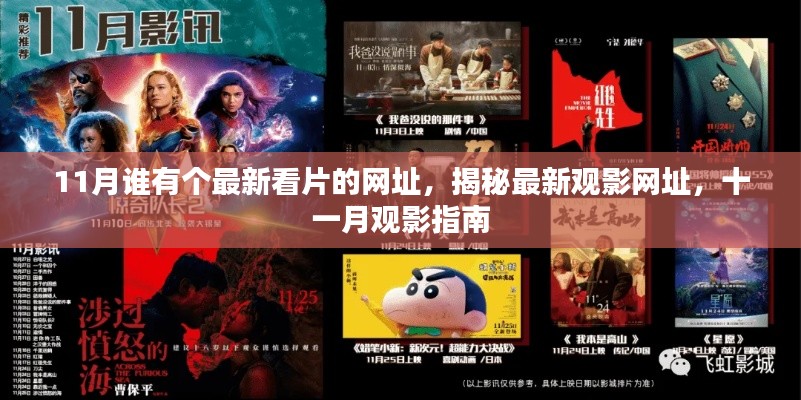 揭秘最新观影网址,十一月观影指南来袭!