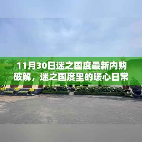 11月30日迷之国度内购破解揭秘，日常中的友情与犯罪边缘的邂逅