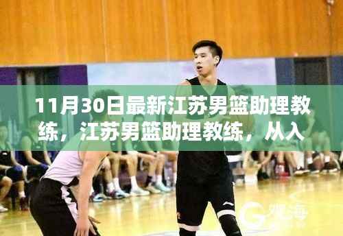 江苏男篮助理教练,从入门到精通的详细指南(适合初学者与进阶用户,11月30日最新资讯)