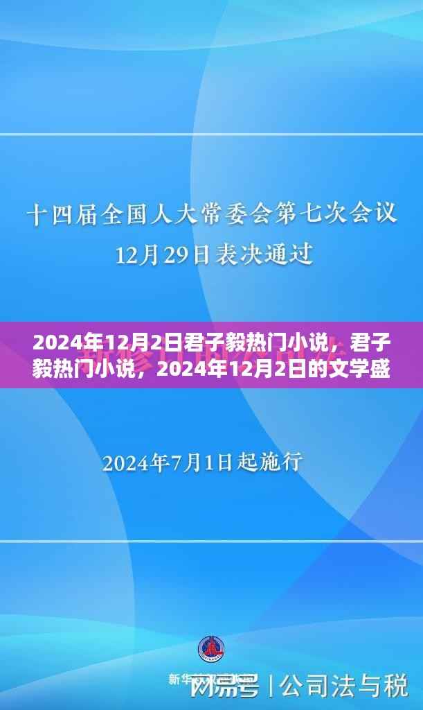君子毅热门小说,文学盛宴即将上演,2024年12月2日一览风采