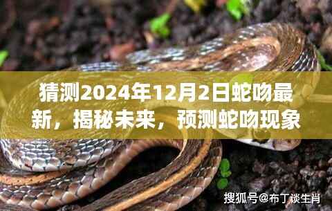 揭秘蛇吻现象未来走向,预测蛇吻现象在2024年12月2日的最新发展动态分析