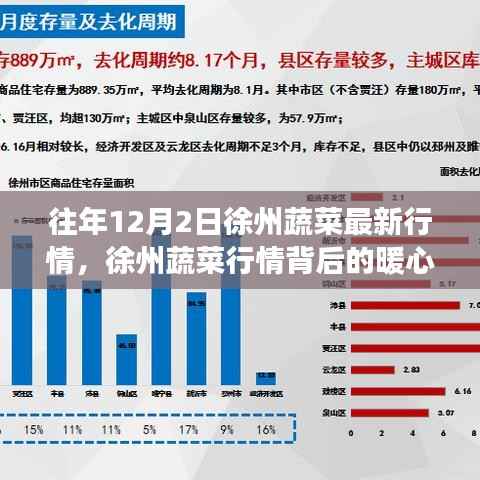 徐州蔬菜行情背后的暖心故事,日常温情回顾——12月2日最新行情