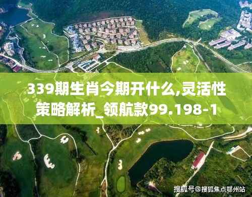 339期生肖今期开什么,灵活性策略解析_领航款99.198-1
