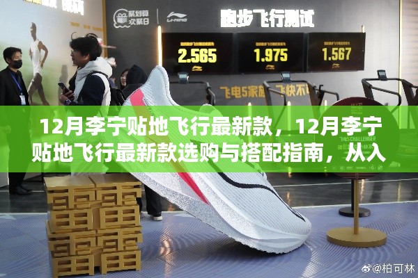 李宁贴地飞行最新款指南,从选购到搭配,入门到精通