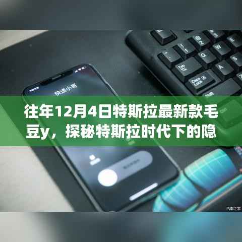 探秘特斯拉时代下的隐秘角落,毛豆Y特色小店揭秘