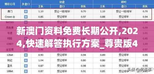 新澳门资料免费长期公开,2024,快速解答执行方案_尊贵版4.941