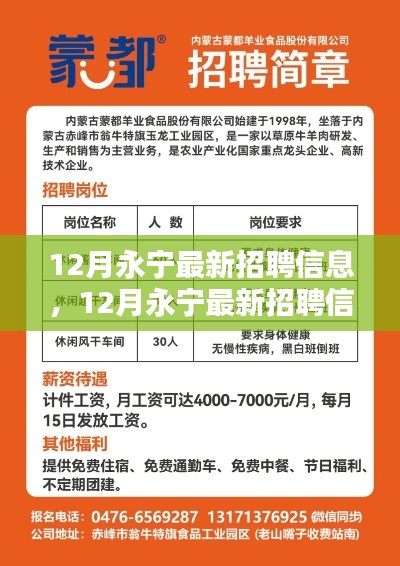 12月永宁最新招聘信息全面解析与评测介绍