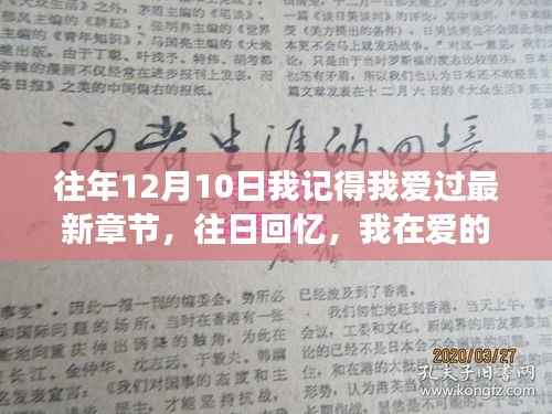 爱的成长与回忆,在往日最新章节中的自我发现与蜕变