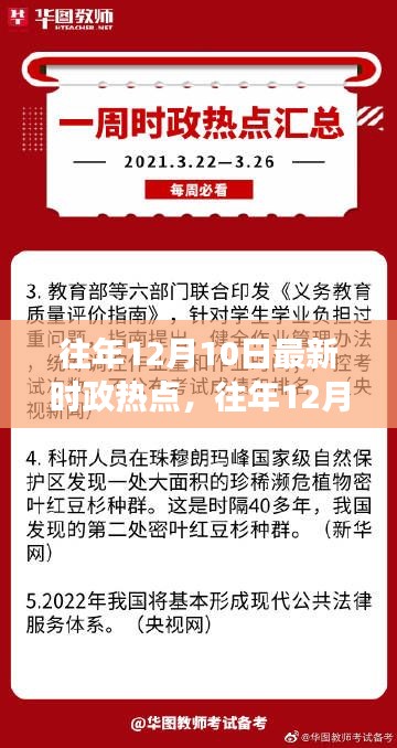 往年12月10日时政热点及深度解读,某某观点探析