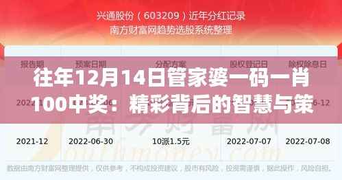 往年12月14日管家婆一码一肖100中奖:精彩背后的智慧与策略
