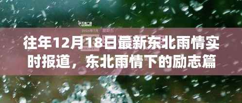 东北雨情下的励志篇章,自信与成就的力量在风雨中绽放