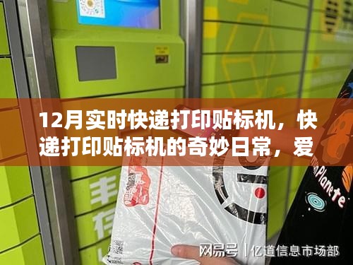 快递打印贴标机的日常,爱的传递与温馨时刻在12月