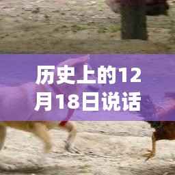 历史上的12月18日,探寻内心平静的成语与自然美景之旅,希望符合您的要求。