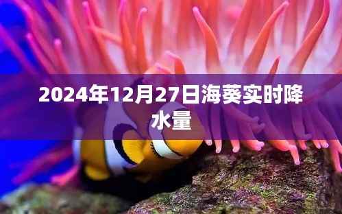 海葵实时降水量数据(XXXX年XX月XX日)