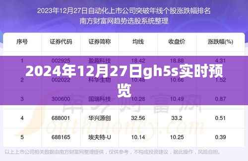 2024年GH5S实时预览功能体验