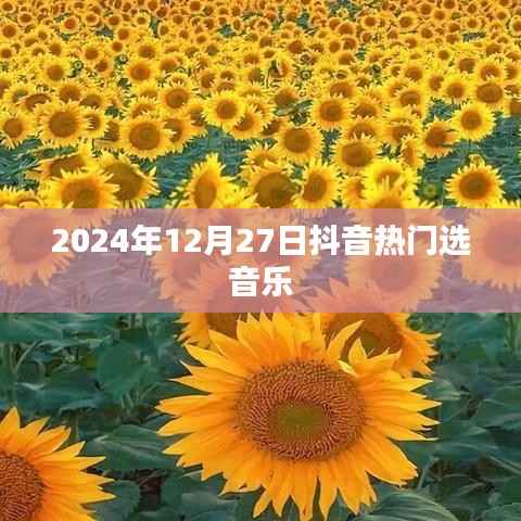 抖音热门音乐推荐榜(日期更新)