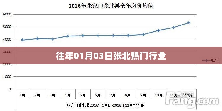 张北地区热门行业概览,历年一月初市场分析