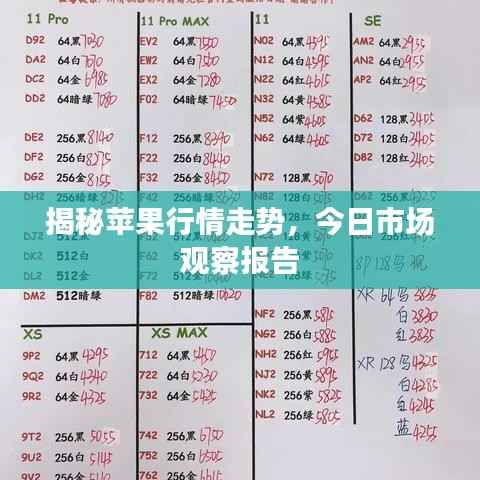 揭秘苹果行情走势,今日市场观察报告