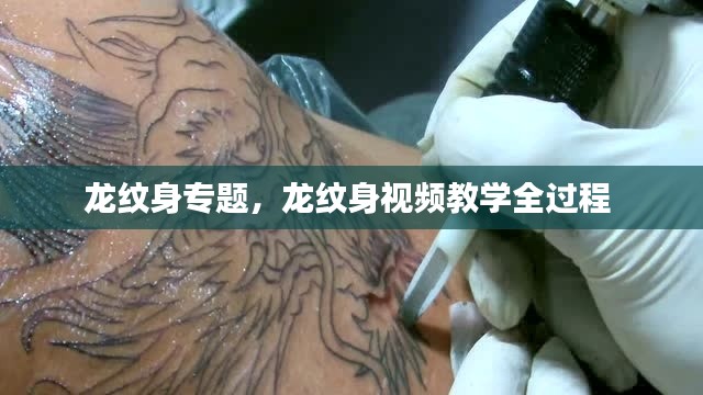 龙纹身专题,龙纹身视频教学全过程