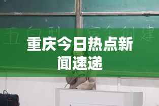 重庆今日热点新闻速递