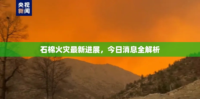 石棉火灾最新进展,今日消息全解析