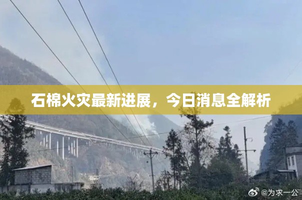 石棉火灾最新进展,今日消息全解析