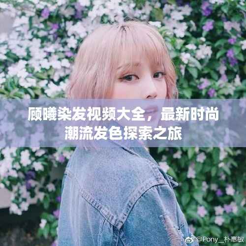 顾曦染发视频大全,最新时尚潮流发色探索之旅