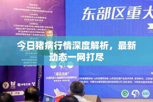 今日猪病行情深度解析,最新动态一网打尽