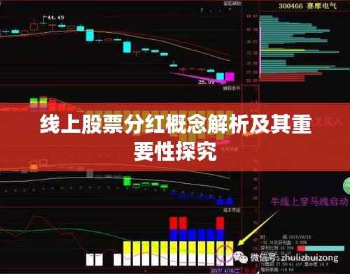 线上股票分红概念解析及其重要性探究
