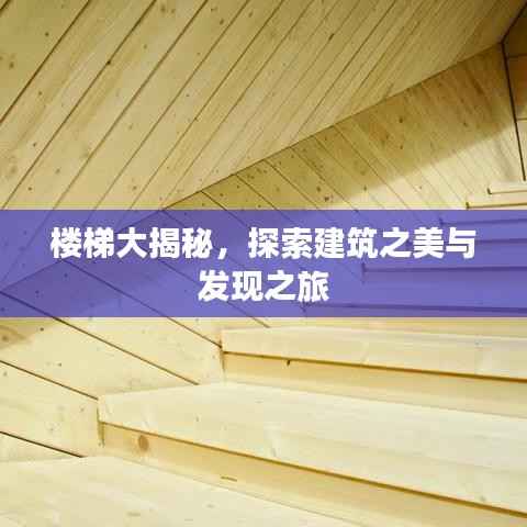 楼梯大揭秘,探索建筑之美与发现之旅