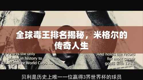 全球毒王排名揭秘,米格尔的传奇人生