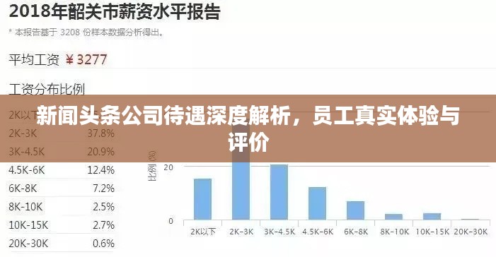 新闻头条公司待遇深度解析,员工真实体验与评价