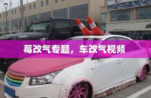莓改气专题,车改气视频