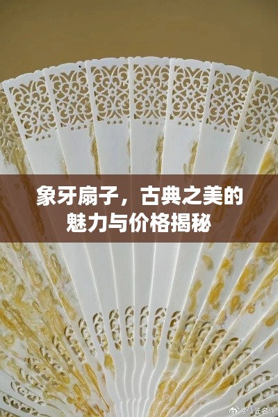 象牙扇子,古典之美的魅力与价格揭秘